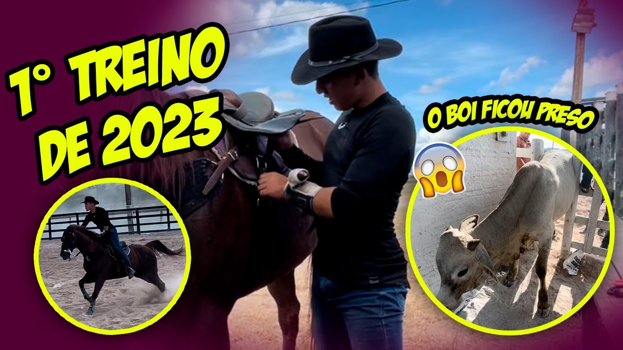 Primeiro treino de vaquejada em 2023