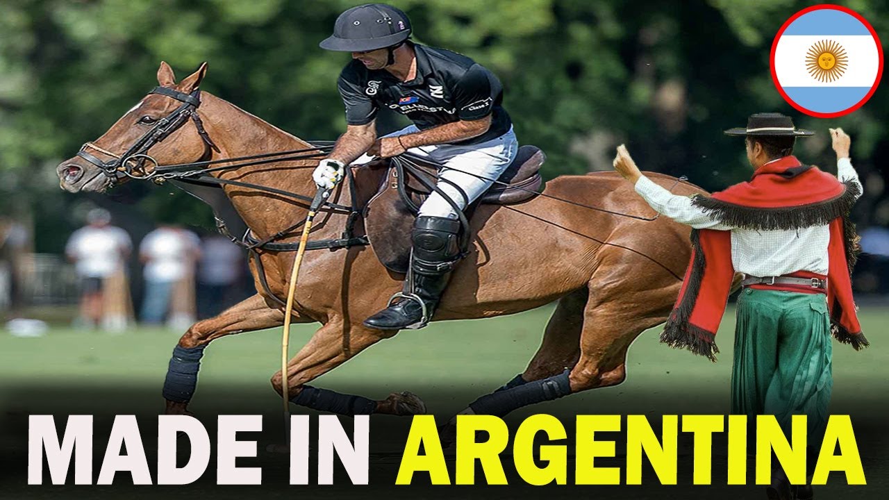 5 FAMOUS Argentine Horse Breeds That Will Blow Your Mind!!