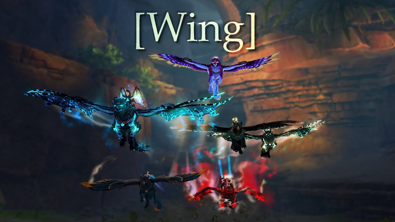 1 year of The Griffon Academy! [Wing]