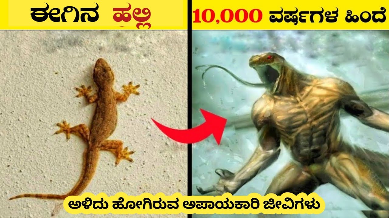 Top 08 Dangerous Extinct Animals | Extinct Animals Detail Explained In Kannada | Think Forever