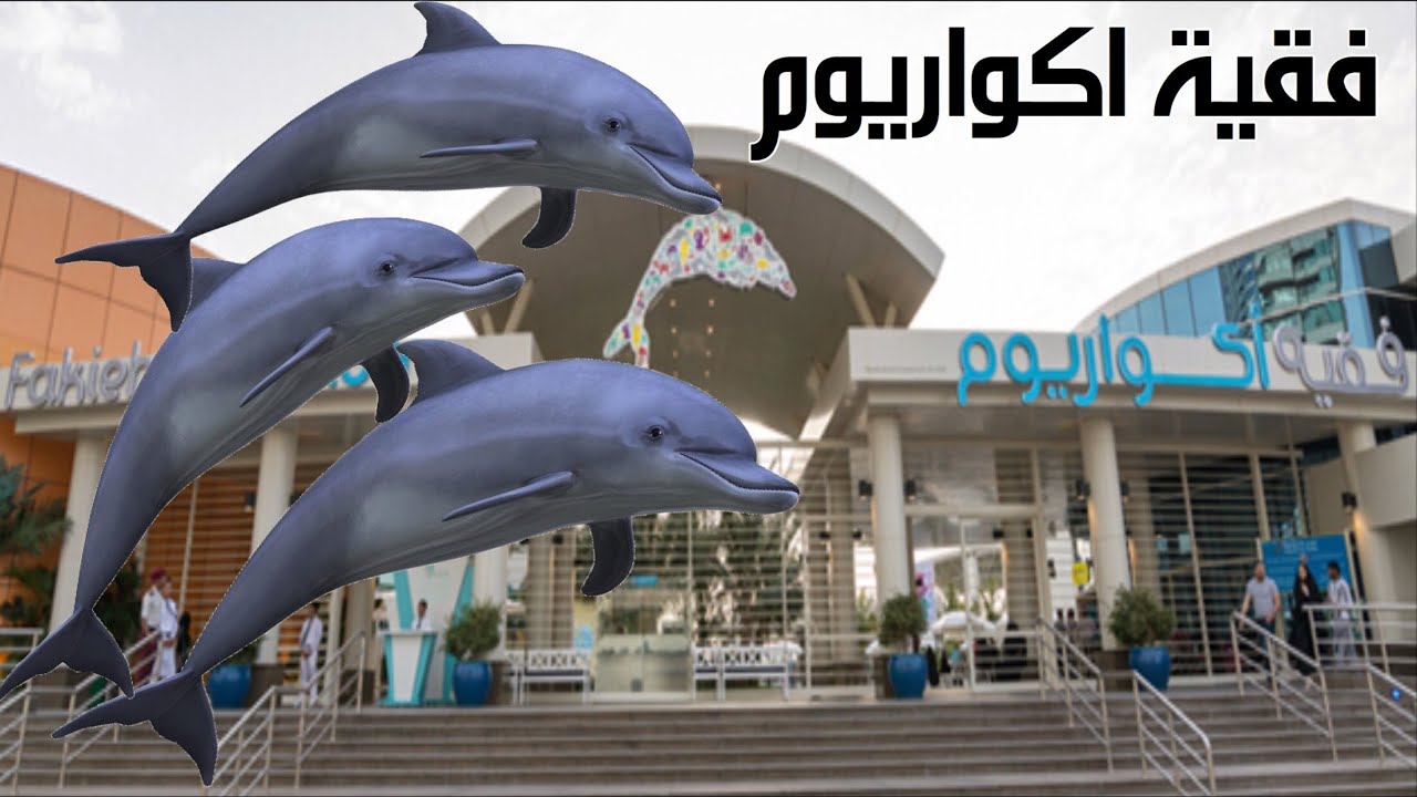 فقيه اكواريوم جده 2018