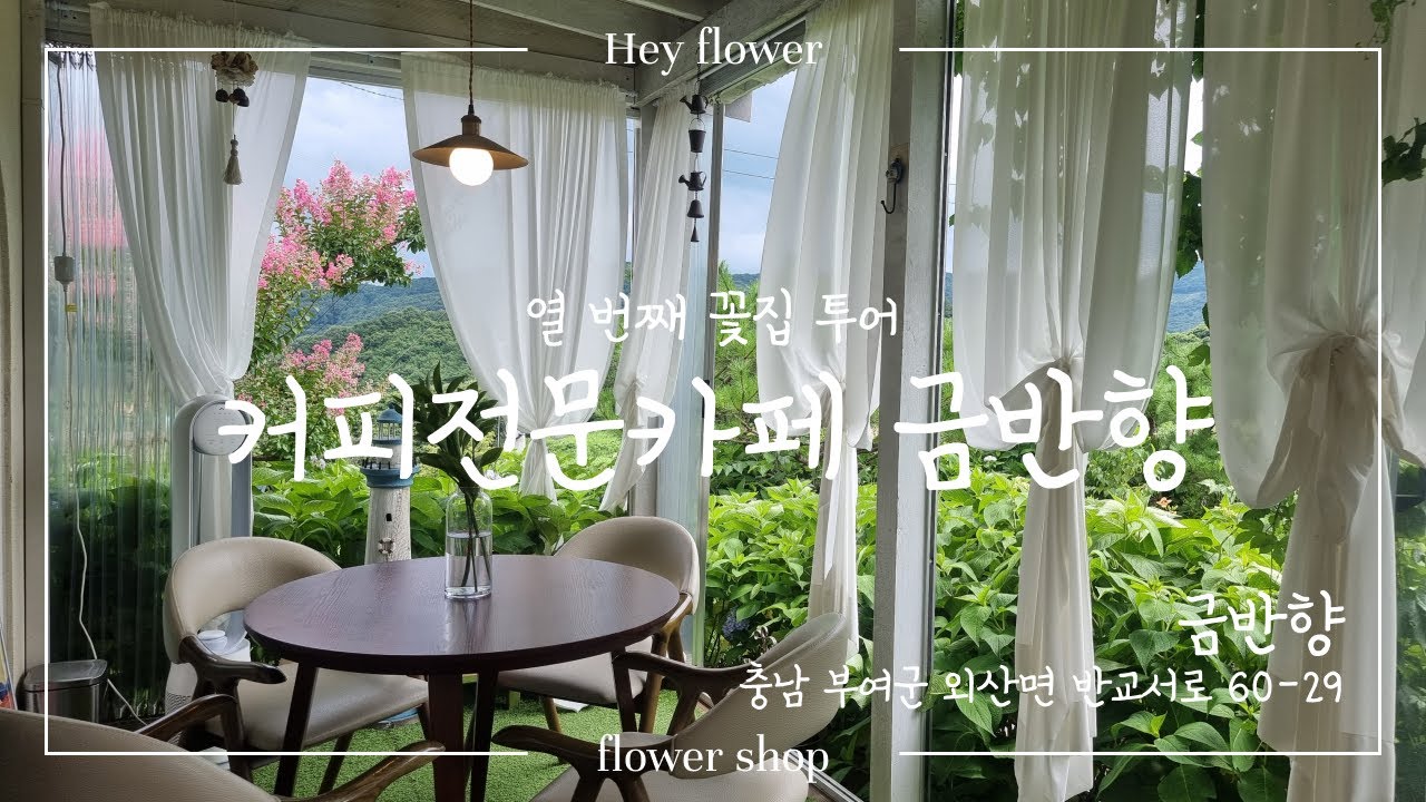 열 번째 꽃집 투어 [카페 금반향] Tenth flower shop tour [Cafe Keumbanhyang]