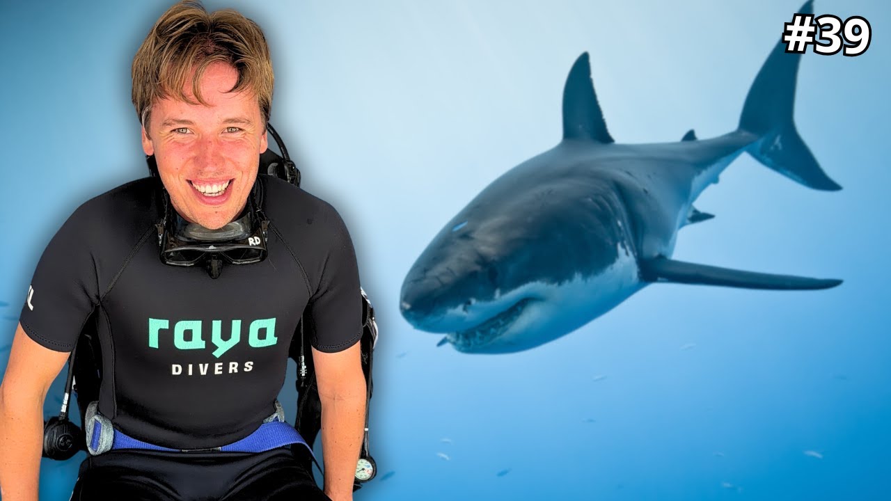 Paljonko meni ja tuli rahaa Balilla? (Aasia #39)