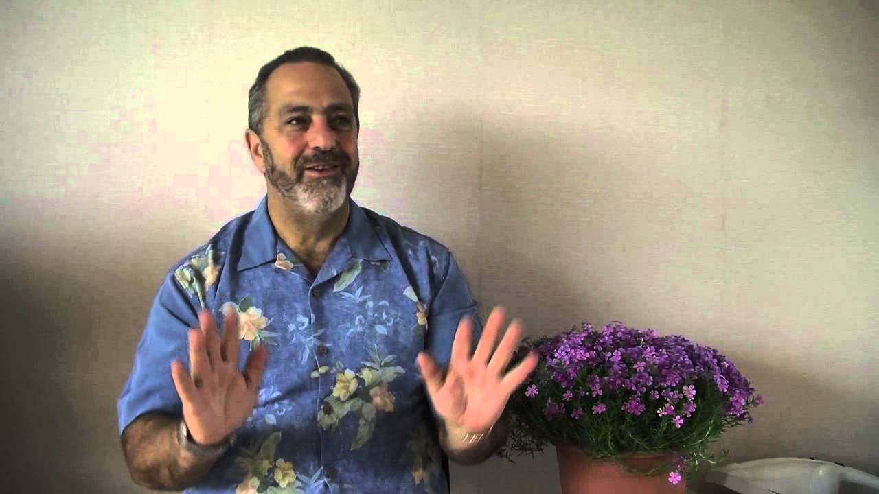 Isaac Shapiro - Full interview