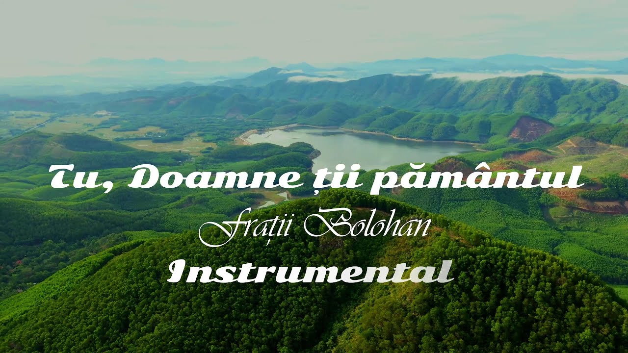 Negativ | Tu Doamne tii pamantul - Fratii Bolohan