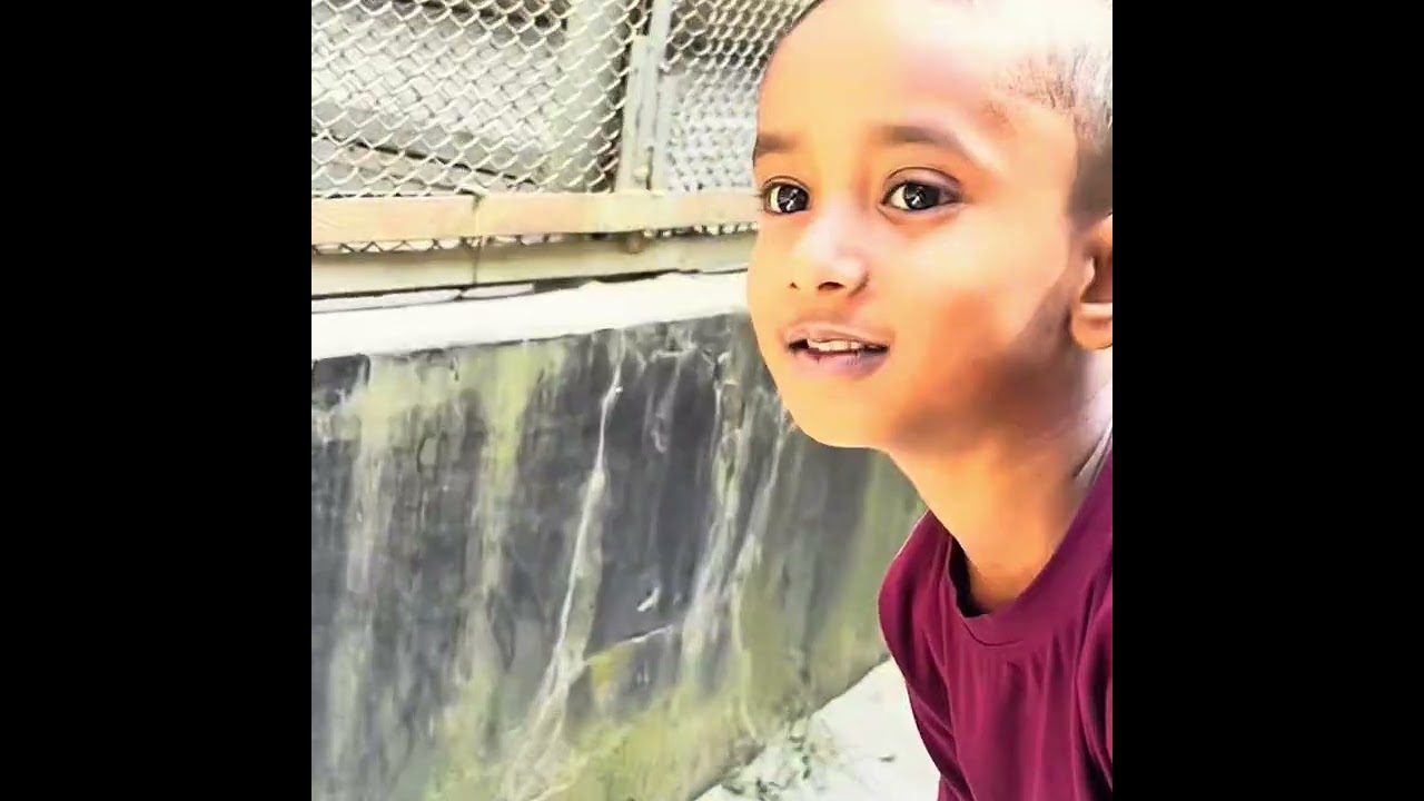 ঘুরঘুরি করলাম চিরিয়া খানা।#viralvideo #foryou 