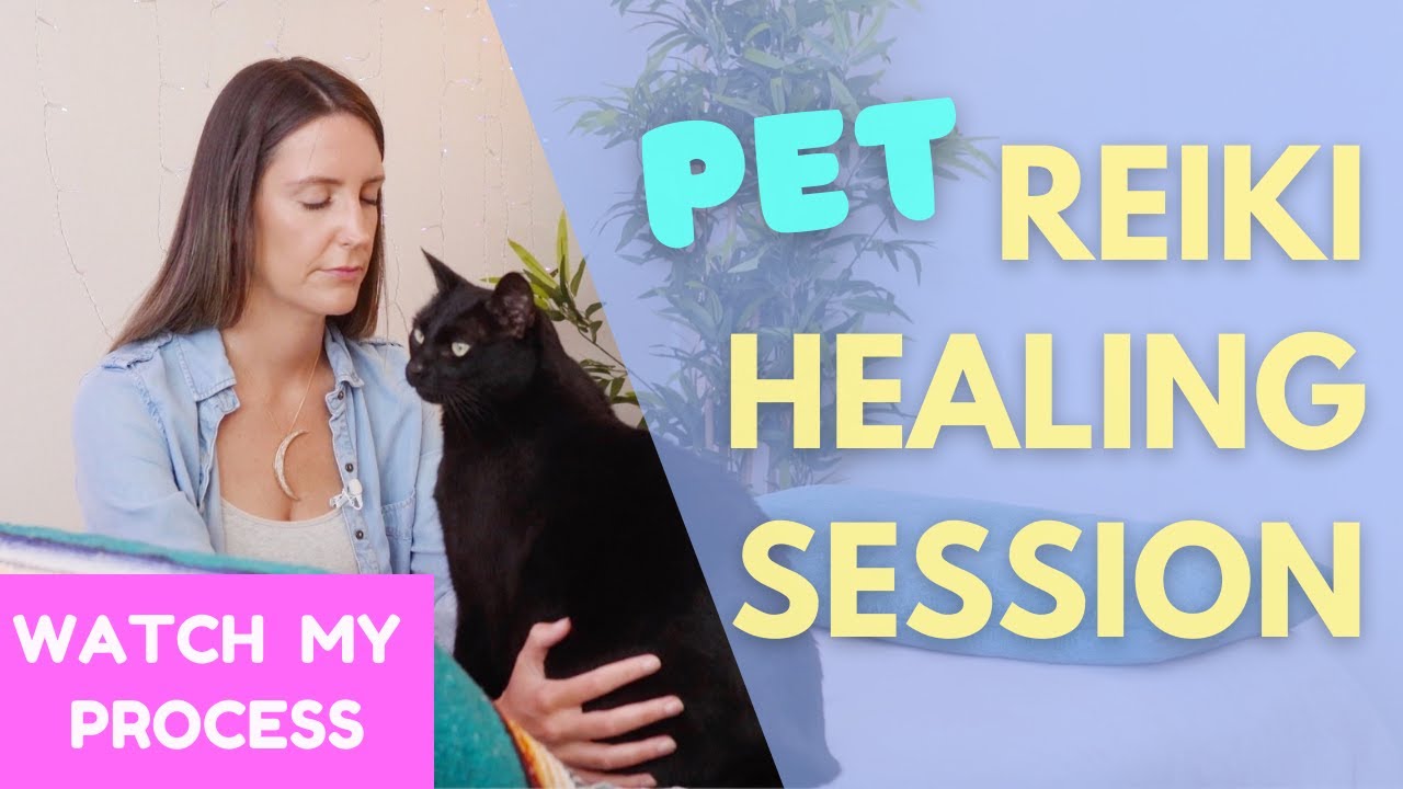 What a Pet Reiki Session Looks Like: Full 15-minute Example