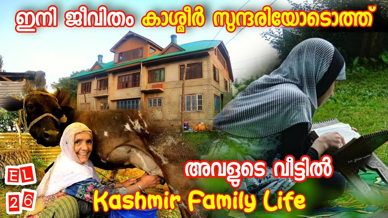കാശ്മീരി സുന്ദരിയോടൊത്ത് ഇനിയുള്ള നാളുകൾ EP 26 Kashmir Village Shopian | Local Life In Kashmir