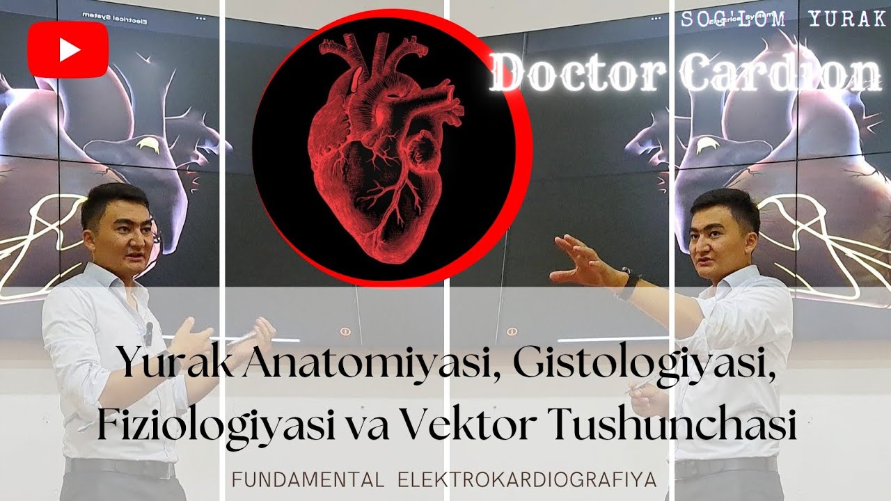 =1-dars= Yurak Anatomiyasi, Gistologiyasi, Fiziologiyasi va Vektor Tushunchasi
