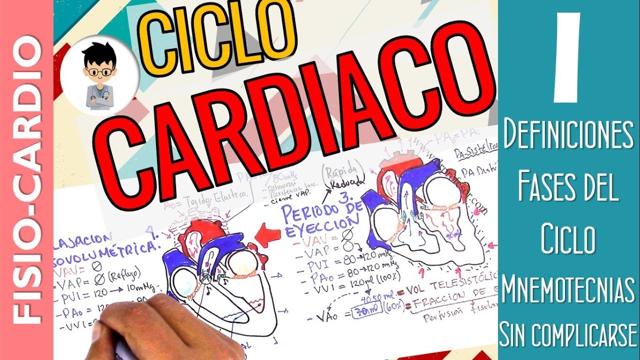 CICLO CARDIACO, Fácil, Resumido, Entendiendo cada fase, Integrado todo |Fisiología Cardiaca|1