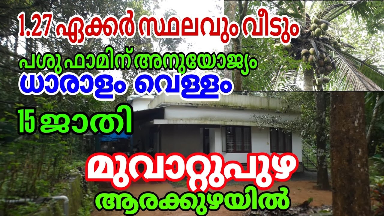 1.27Acres of super land with house at Muvattupuzha, Arakkuzha.