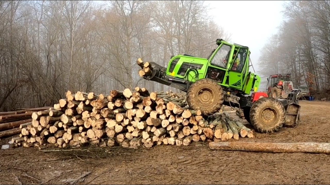 Ťažba a manipulácia dreva, dokončujeme štvrtý vyznačený pás, Zetor Proxima, Orvex LT 100, Forestwork