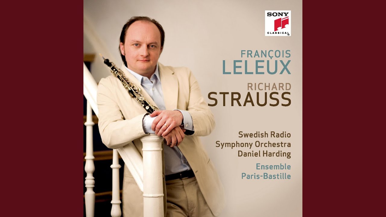 Concerto for Oboe and Small Orchestra in D Major, Op. 144: I. Allegro moderato