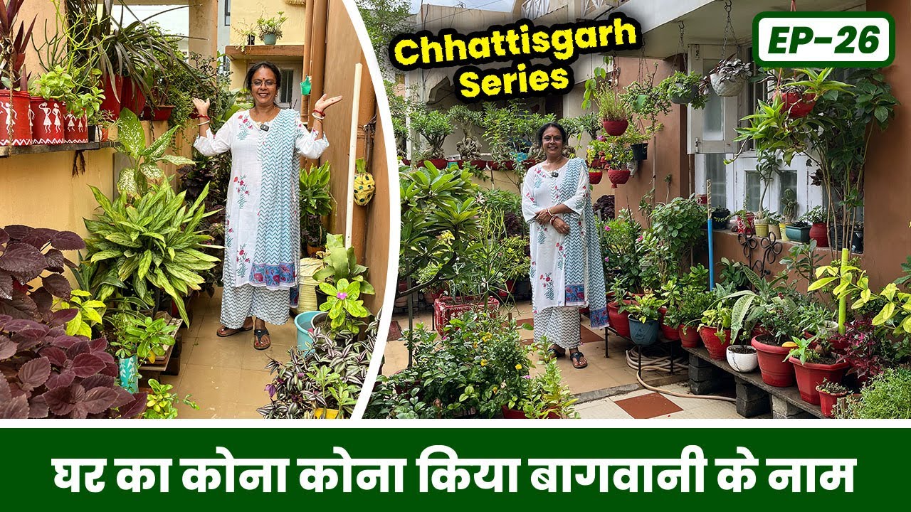 घर का कोना कोना किया बागवानी के नाम 😱 छत्तीसगढ़ का ये गार्डन आपको हैरान कर देगा 🥰 Garden Tour EP-26