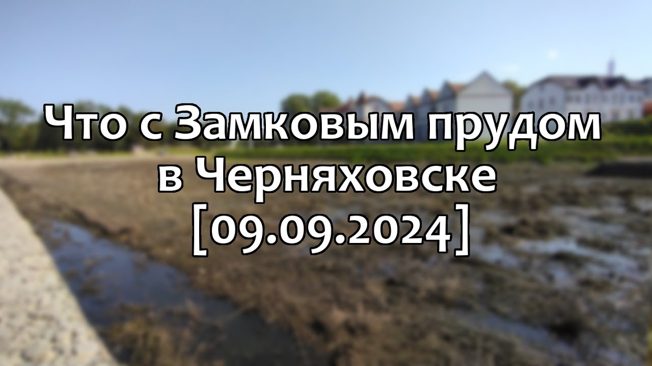 Черняховск. Замковое болото и чёрный ручей (09.09.2024)
