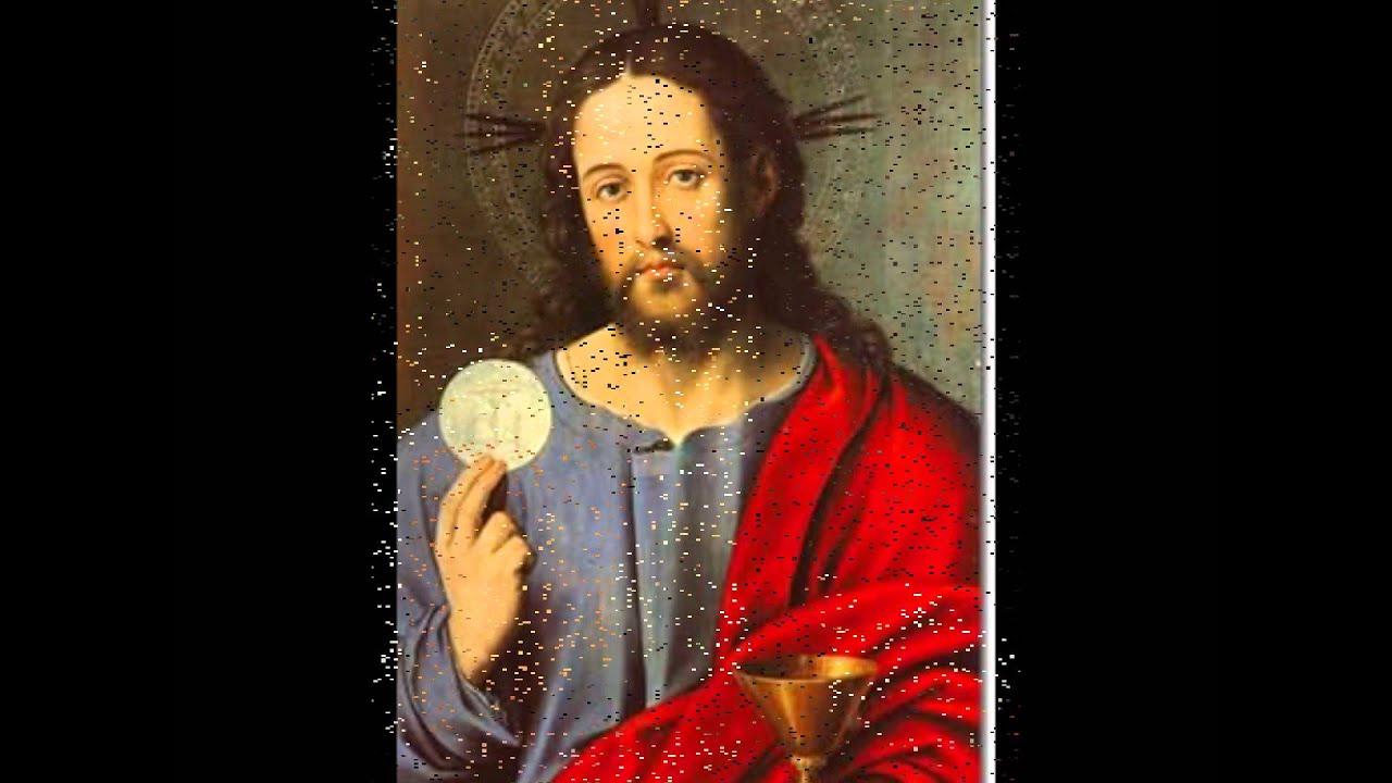 Senhor vos ofertamos