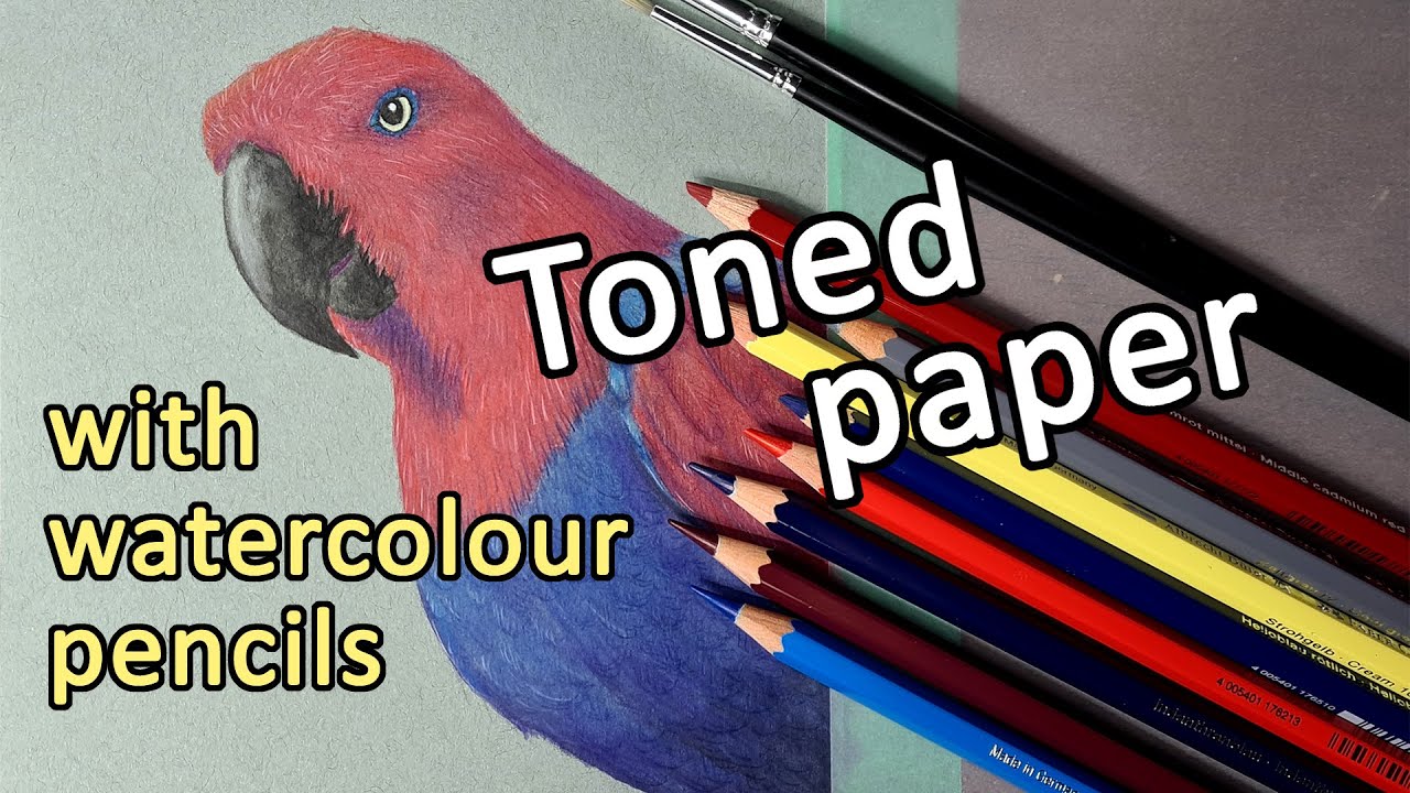 WATERCOLOUR PENCILS - Albrecht Durer Watercolor pencils on Strathmore toned blue mixed media paper