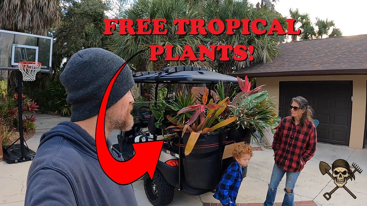 Finding FREE Tropical Plants in the Trash! | The Plant Pirates Episode 124