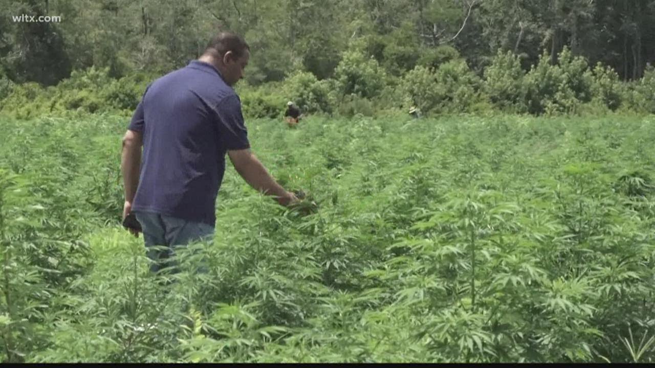 Local farmer donates CBD hand sanitizer to SCSU students