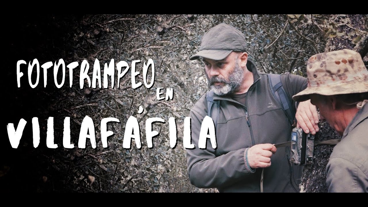 Fototrampeo en las Lagunas de Villafáfila