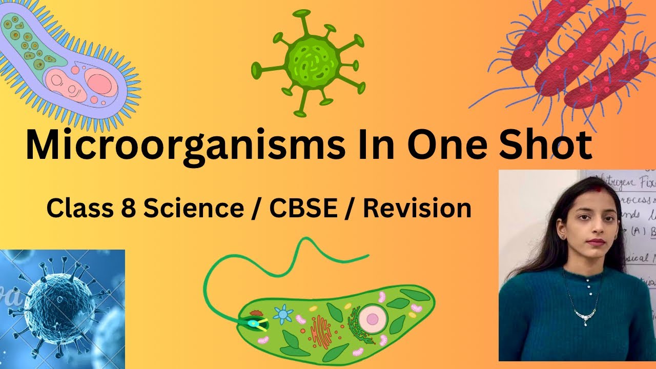 Microorganisms: Friend and Foe – Full Chapter | Class 8 CBSE Science