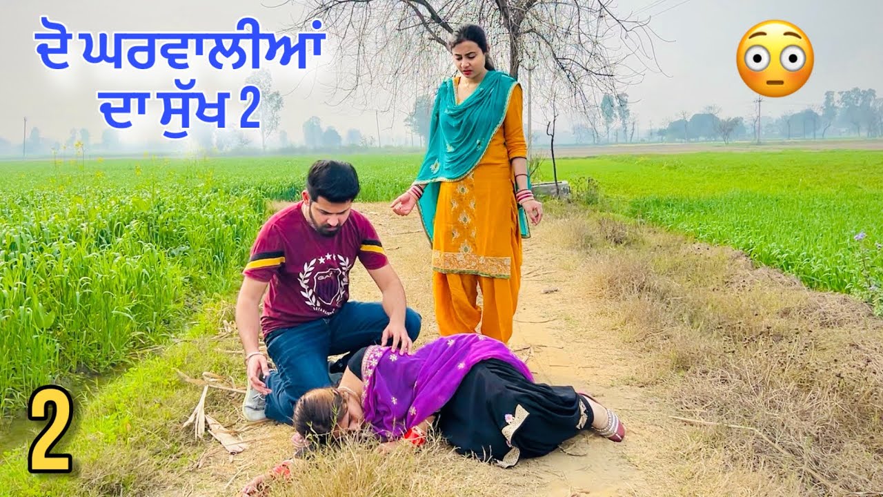 ਦੋ ਘਰਵਾਲੀਆਂ ਦਾ ਸੁੱਖ ?😳 • ਭਾਗ-2 • Do Gharwaliyan Da Sukh • Part-2 • Team Bawan