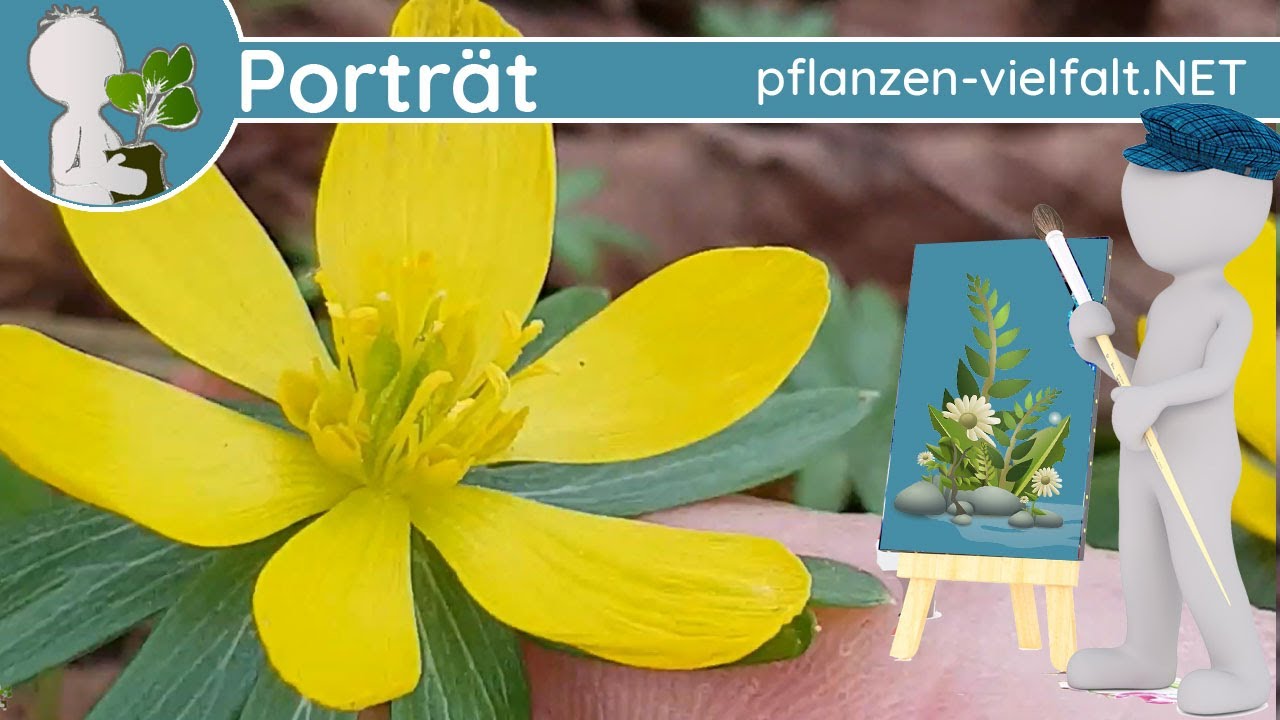🖼️ Porträt 005 - 