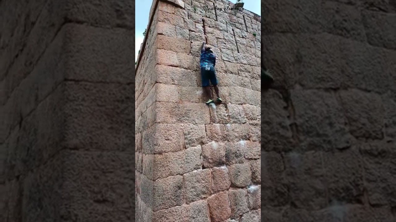 Monkey climbers Master