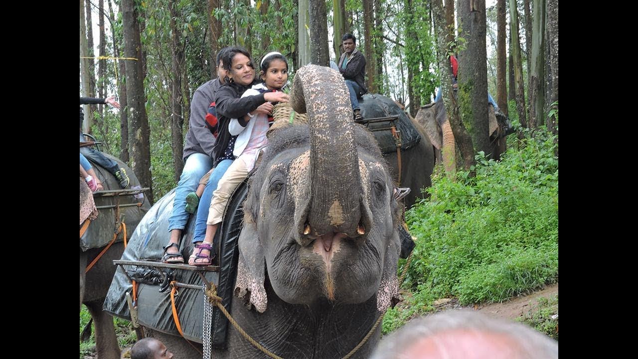 ELEPHANT PARK |MUNNAR - KERALA