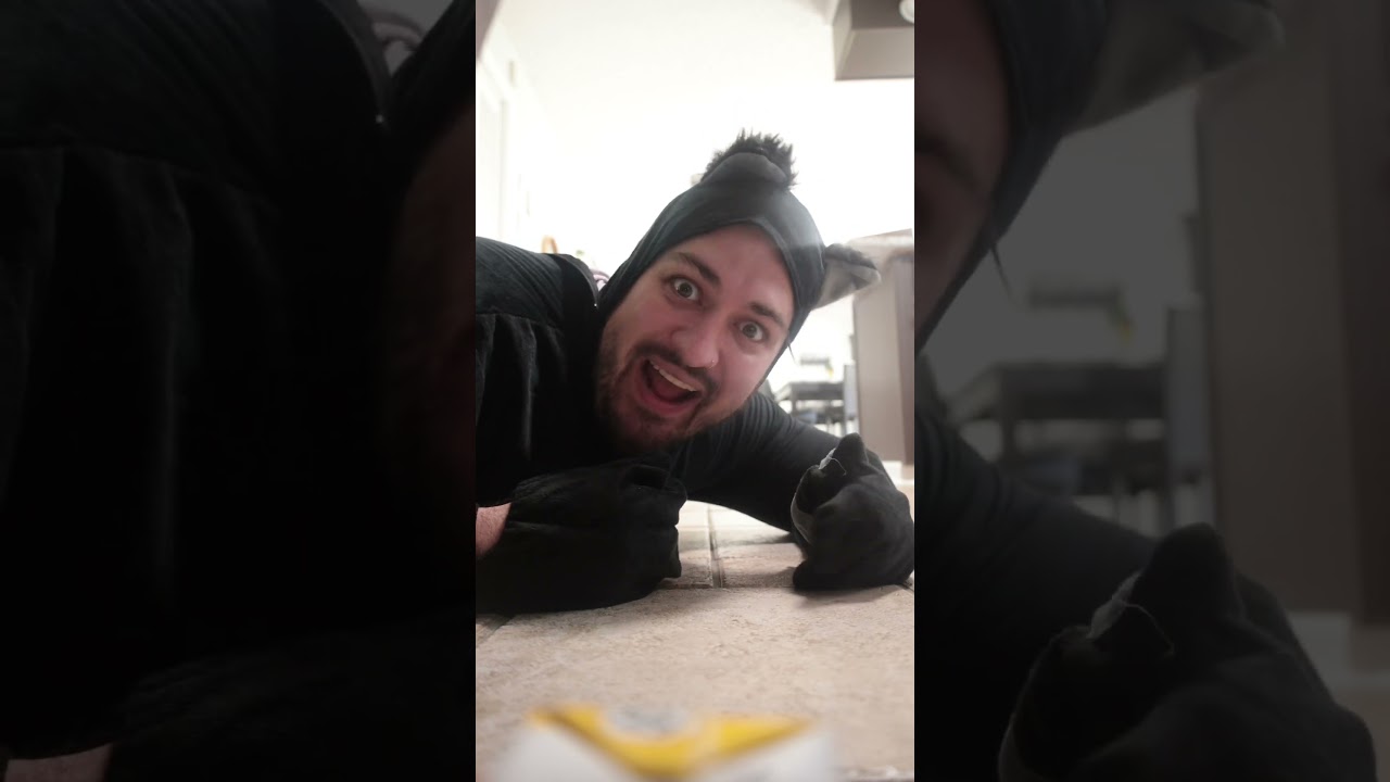 Кошки против мышей 😂