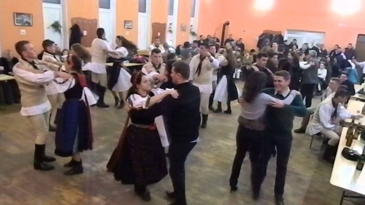 Daisoara- Craciun 2013
