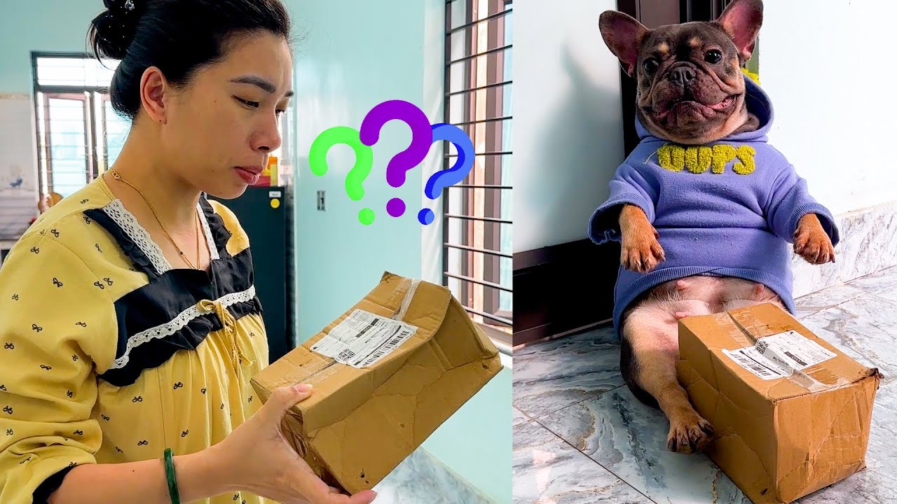 Mom was very curious about the package that Mun the dog brought