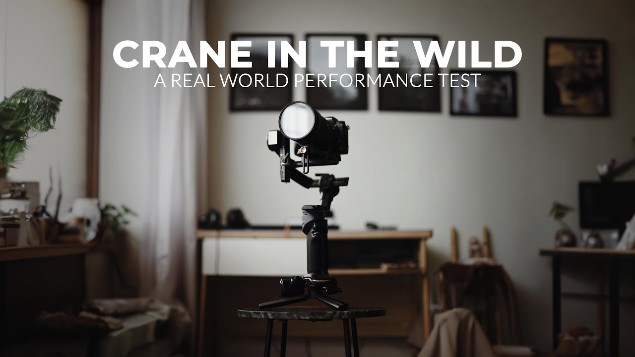Cinematic Magic with Zhiyun Crane 4! | A Short Gimbal Performance Test