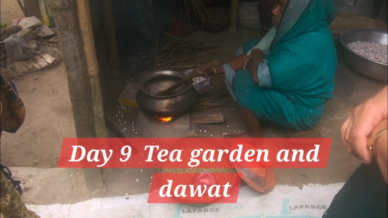 Day 9 in Bangladesh Nilu afar bari and tea gardens
