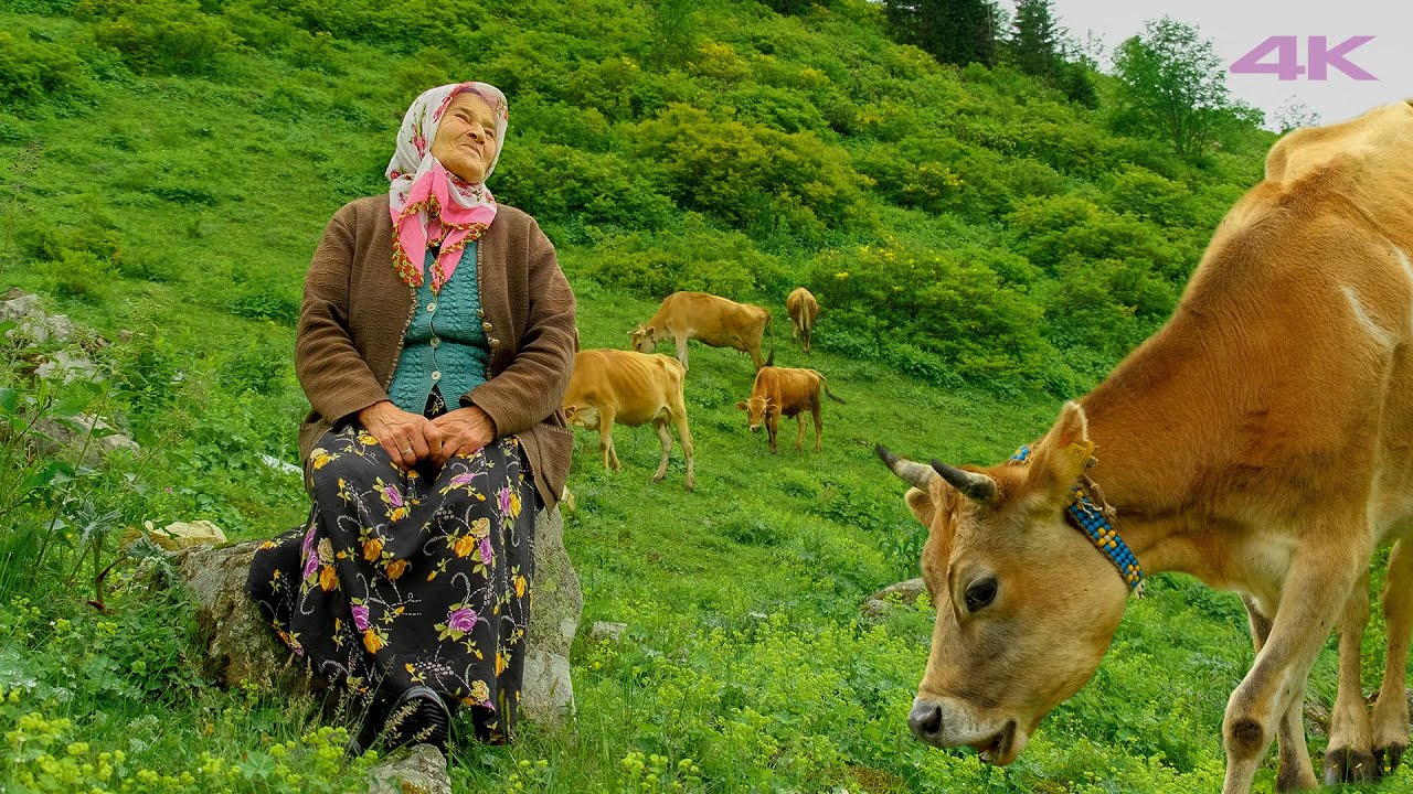 жизнь в горах - бабушка Нурие и ее внуки | Документальный фильм ▫️4K▫️