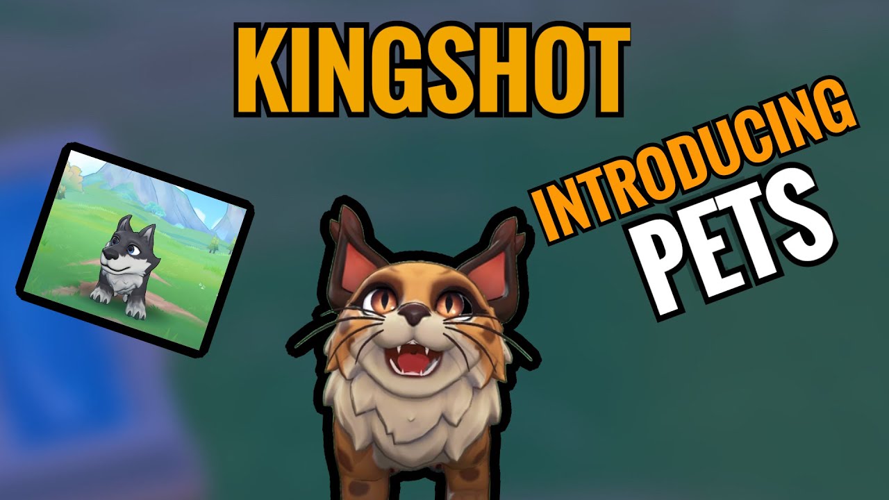 INTRODUCING PETS IN KINGSHOT!!! PETS GUIDE
