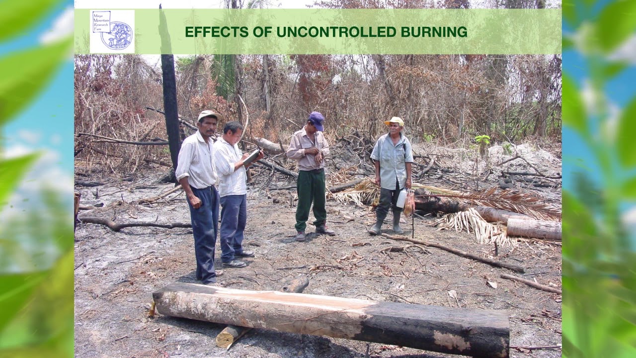 Repairing Degraded Land & Drawing Down Carbon - By Christopher Nesbitt