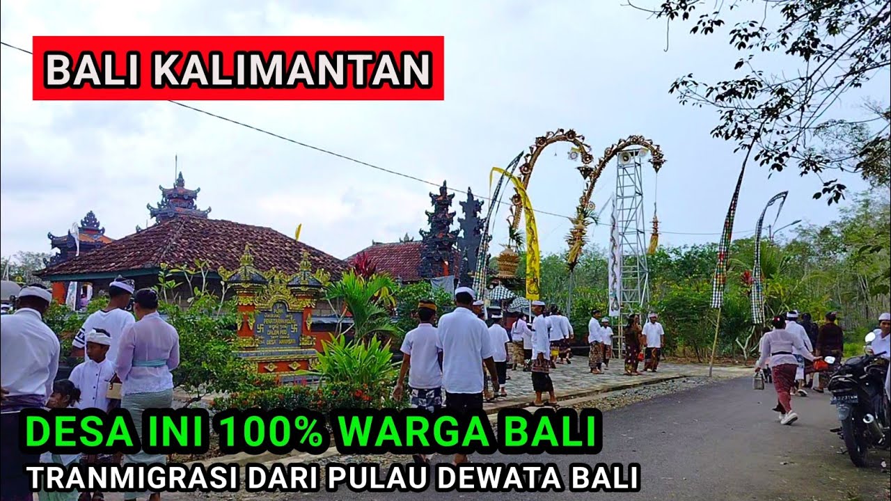 SUASANA KAMPUNG BALI TRANMIGRASI KALIMANTAN MENUJU PERSEMBAHYANGAN DI PURA PED