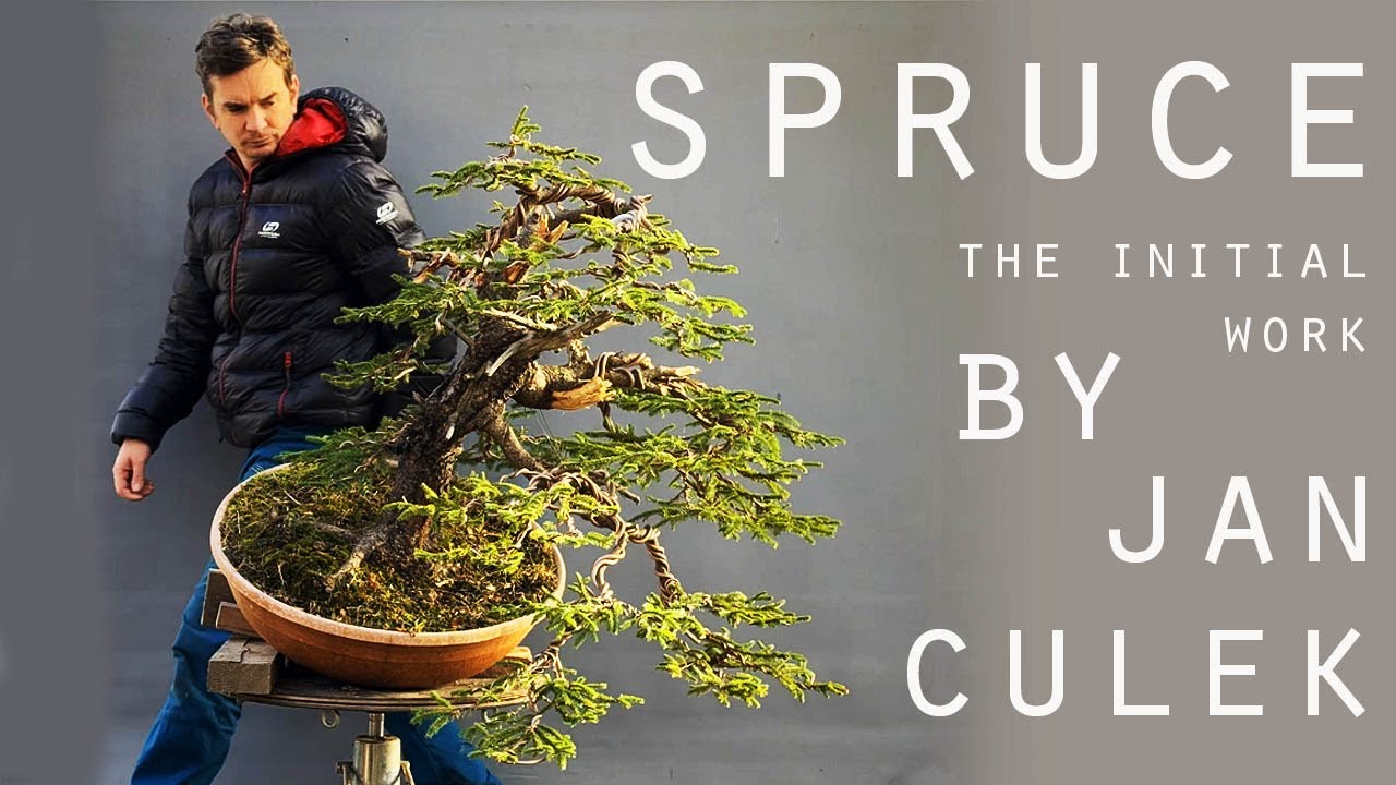 Spruce -  the initial work.