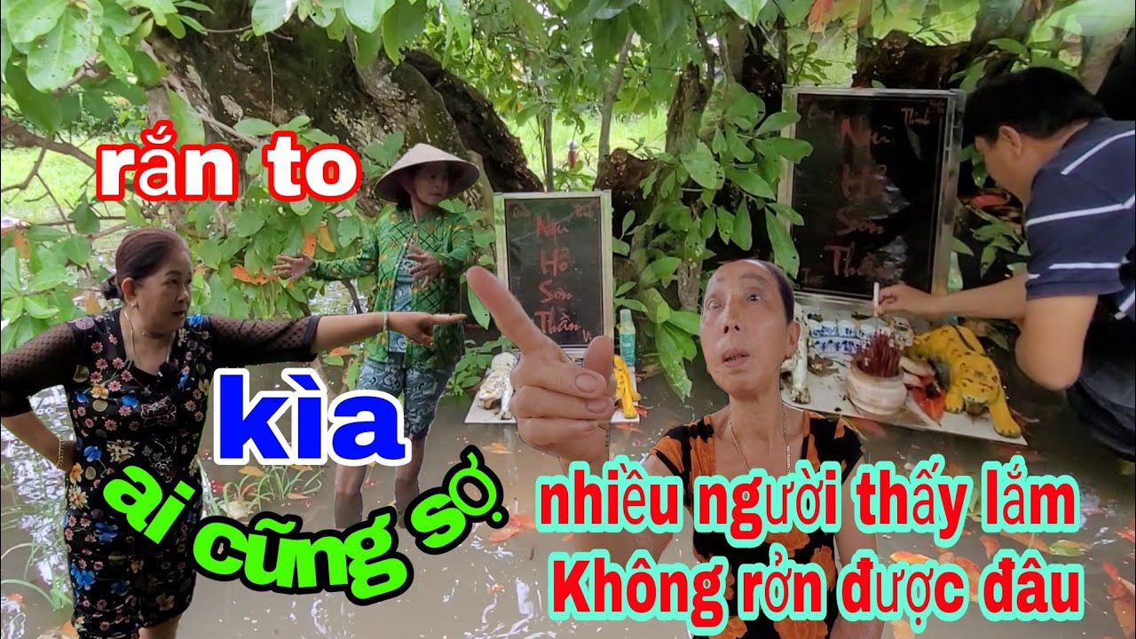Ớn &oacute;c mạo phạm phải bỏ mạng ai cũng Khiếp sợ