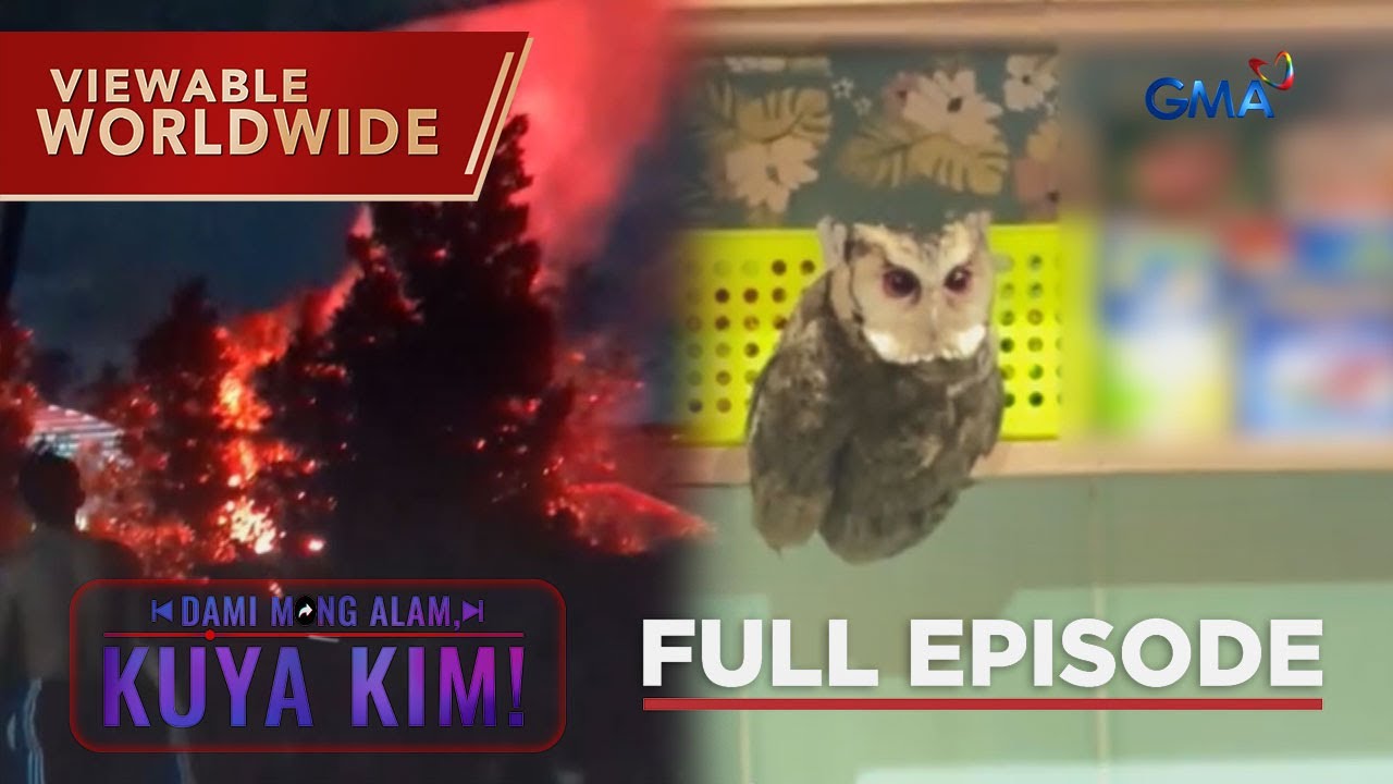 Bulalakaw, namataan sa Negros Oriental?; Kuwago, pumasok sa isang bahay | Dami Mong Alam, Kuya Kim!