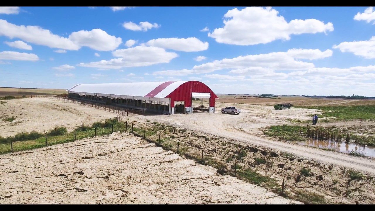 CCS 150hd Cow Calf Building