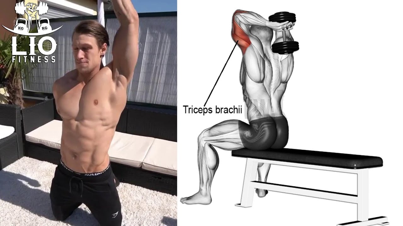 12 EJERCICIOS PARA PECHO Y BRAZOS