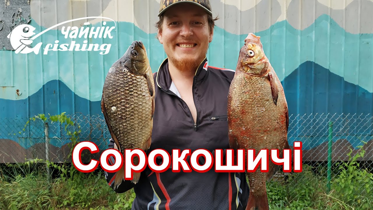 Карась і лящ на фідер з човна в Сорокошичах.