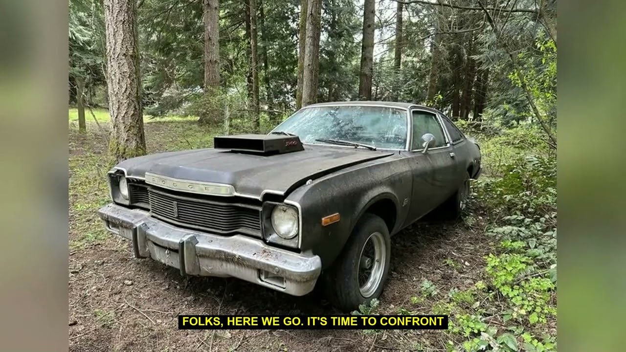 1976 Dodge Aspen: All Show, No Go with That Inline-6