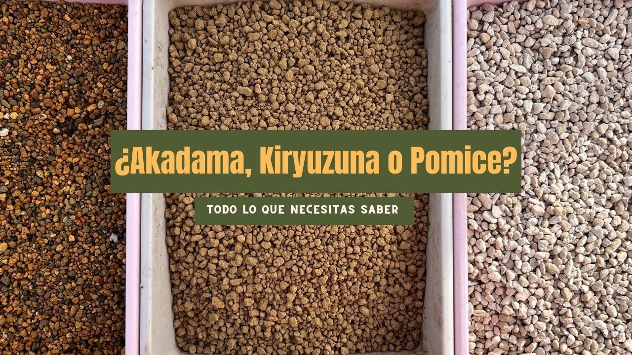 Diferencias Técnicas entre Akadama, Kiryuzuna y Pomice: Guía Completa