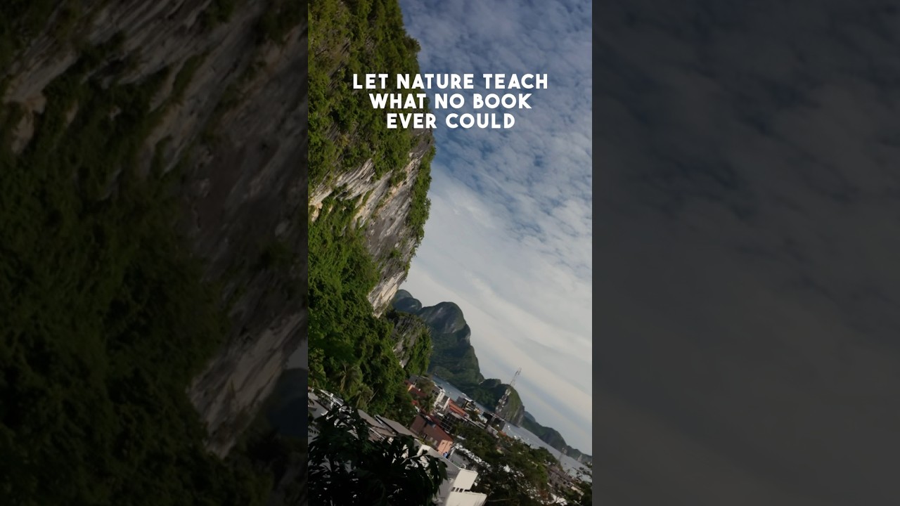 The view you don&rsquo;t wanna miss #shorts #elnido
