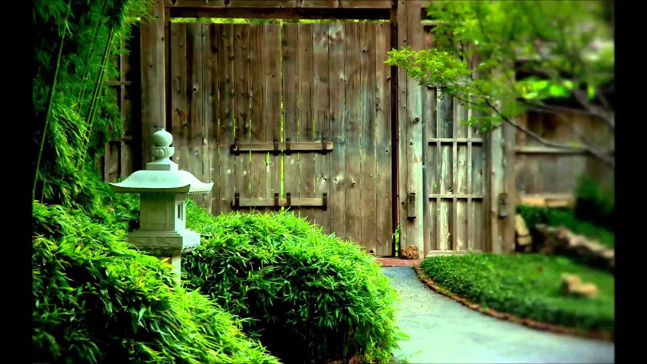 Takeshi Senoo  Sakura saku