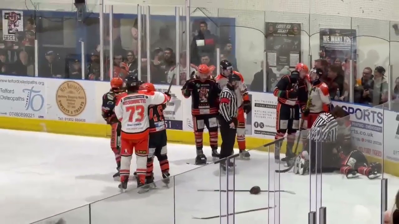 Telford Tigers vs Sheffield Steeldogs NIHL 3-3-24