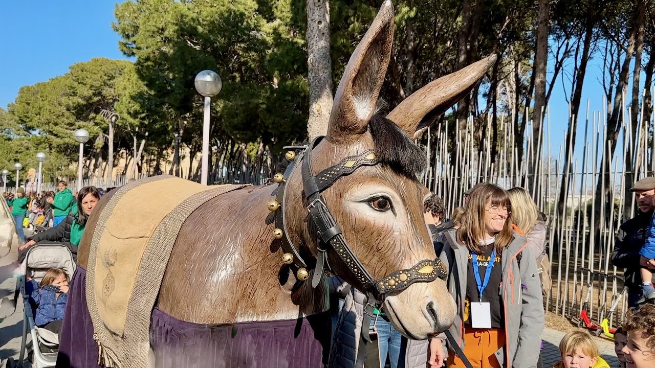 XL Trobada Gegantera de Vila-seca i 40è aniversari del TON i la PINEDA (Ballades finals Episodi nº3)
